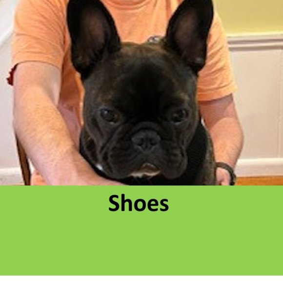 Shoes - Picture 1 of 1